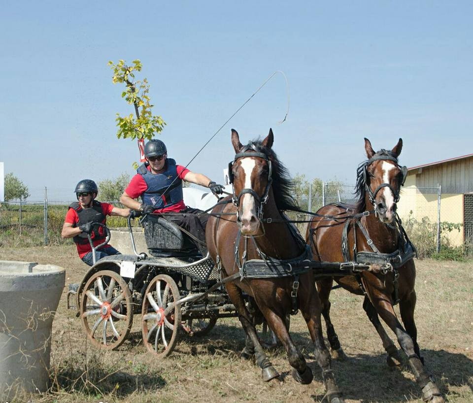 David Aramendía y Carmen Goiburu, Campeones Navarros de Enganches Completo en Troncos y Limoneras